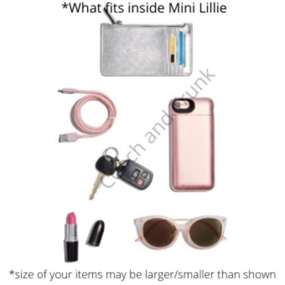 COACH Leather Mini Lillie Carryall Black With Gold Hardware Feet NWT - Picture 9 of 10